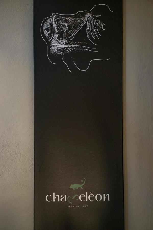 Chameleon Premium Loft Daire Anabolu Dış mekan fotoğraf